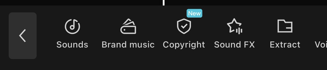 Screenshot of the Audio menu showing buttons labeled Sounds, Brand music, Copyright, Sound FX, Extract, and more