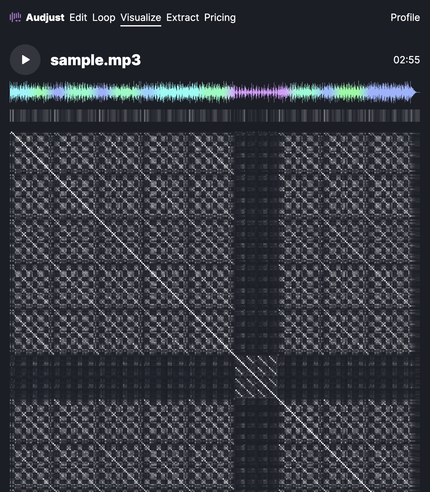 Screenshot of the application in visualize mode